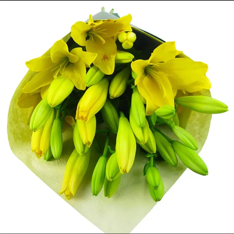 Букет Робкий взгляд